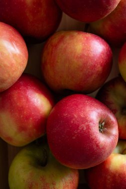 Tahta bir sandıkta taze, küçük, organik kırmızı elmaları kapatın.