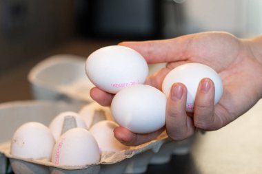 Beyaz yumurta tutan, arka planda bulanık arka planda gri mutfak masasındaki karton kutuda bir düzine yumurta tutan bir kadının fotoğrafını çek.