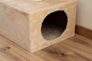 Gün ışığında, evde kedisiz, bej renkli, rahat bir kedi ağaç evi. 