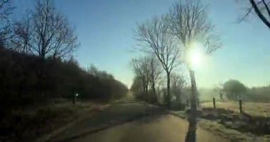Ağaçlar ve parlak güneş ışığıyla cadde boyunca araba süren sürücüler arabadan manzaralı. Yüksek kaliteli FullHD görüntüler