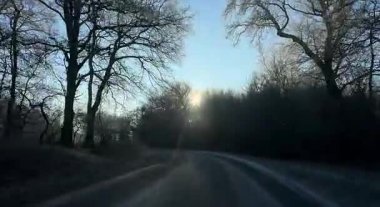 Ağaçlar ve parlak güneş ışığıyla cadde boyunca araba süren sürücüler arabadan manzaralı. Yüksek kaliteli FullHD görüntüler