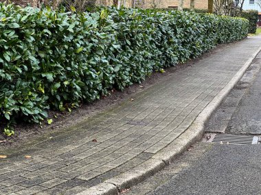 Gündüz vakti Almanya 'nın kırsal bir köyünde asfalt yaya geçidi