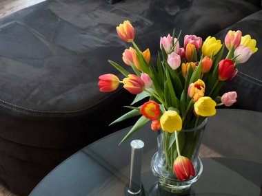 Güzel renkli laleler cam bir kabın içinde oturma odasındaki kanepenin üstünde duruyor. 