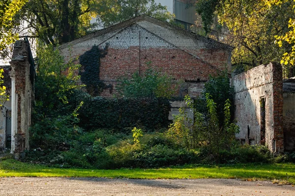 파괴된 초목으로 뒤덮인 건물의 — 스톡 사진
