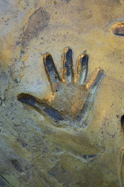 Impressão Mão Humana Superfície Cimento Betão Dia Ensolarado Natural — Fotografia de Stock