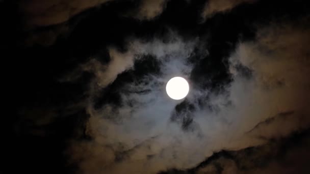 Luna Piena Nel Cielo Notturno Con Nuvole Volanti — Video Stock