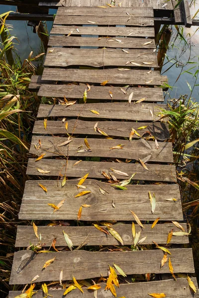Dřevěný Lávkový Most Přes Potok Nebo Břehu Rybníka Padlé Podzimní — Stock fotografie