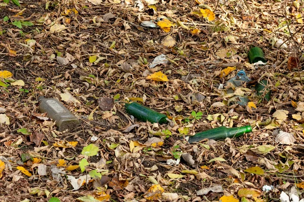 Müll Form Von Glasflaschen Auf Herabgefallenem Laub Auf Dem Boden — Stockfoto