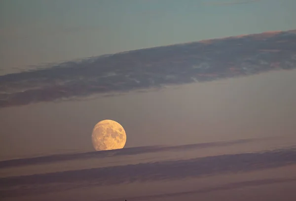 Månen Kvällen Ljus Himmel Omgiven Tunna Moln Genom Teleobjektivet — Stockfoto