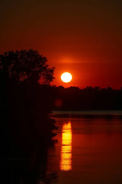 Красный Закат Над Рекой Лесной Массив Отражение Солнечного Света Воде — стоковое фото