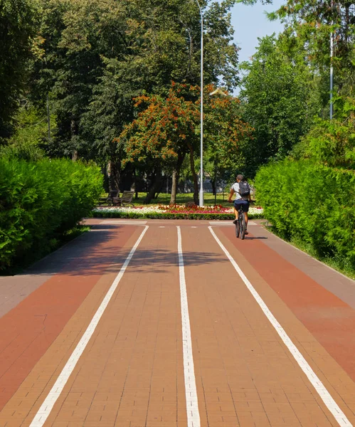晴れた夏の日に市内公園でサイクリストと自転車道 ウクライナのクレメンチュク市 — ストック写真