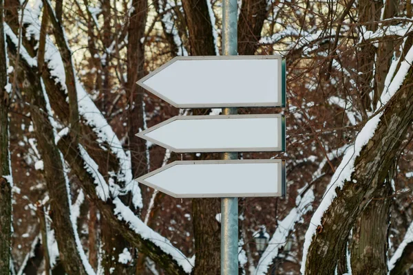 Arrow direction signs on a pole in a winter forest or park. Free space for text
