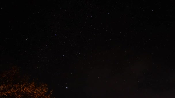 Movement Stars Constellations Night Sky Polar Star Multi Colored Stars — Vídeos de Stock