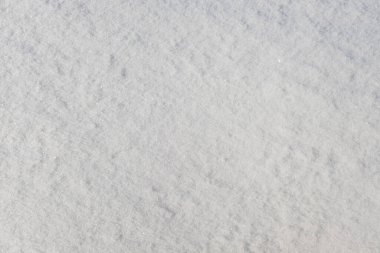 The surface of loose natural snow on a sunny day. Close up top view