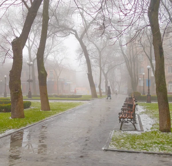 Fog in a city park with tall trees and puddles in the alleys in winter. Kremenchuk city, Ukraine