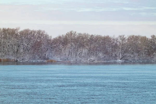 Winter forest and snow on the bank of a wide Dnieper river