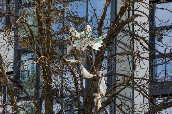 Umweltverschmutzung Eine Plastiktüte Auf Den Ästen Eines Baumes Der Stadt — Stockfoto