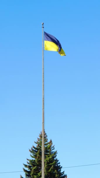 Flagga Ukraina Fladdrar Vinden Hög Flaggstång Mot Blå Molnfri Himmel — Stockvideo