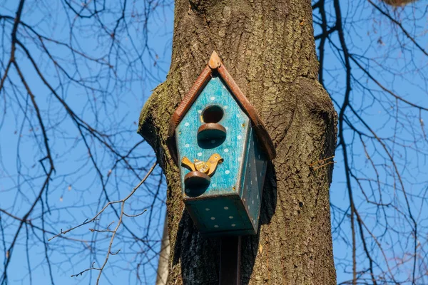 Piękny Dekoracyjny Domek Dla Ptaków Drzewie Słoneczny Wiosenny Dzień Ręcznie — Zdjęcie stockowe