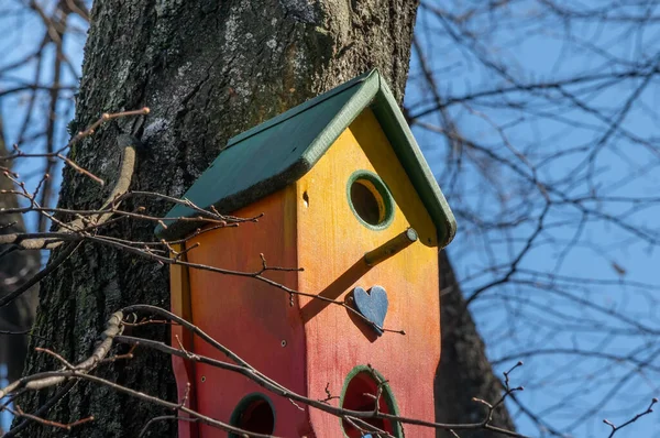 Vogelhuisje Aan Een Boom Een Zonnige Lentedag Mooi Handgemaakt Houten — Stockfoto