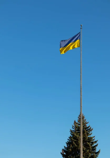 Прапор України Високому Флагштоку Проти Блакитного Неба Сонячний День Вільний — стокове фото