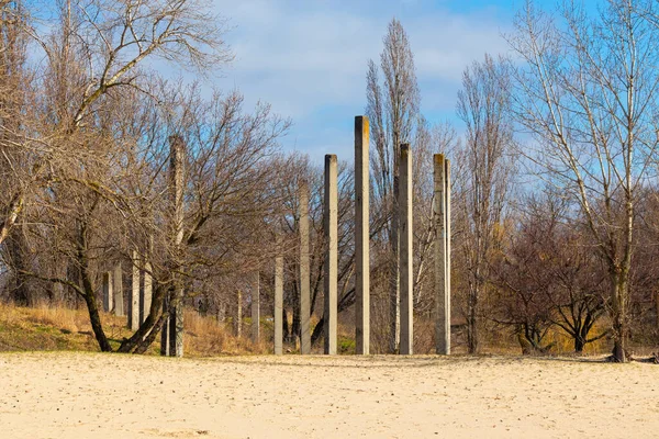 Betonnen Pilaren Van Een Onafgewerkt Gebouw Verlaten Bouwplaats Bomen Zonder — Stockfoto