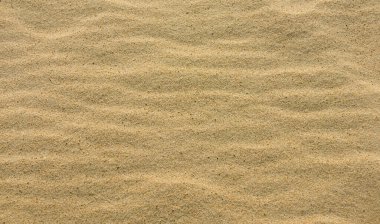 Quartz yellow sand close up. Natural background, top view. Sunlight clipart