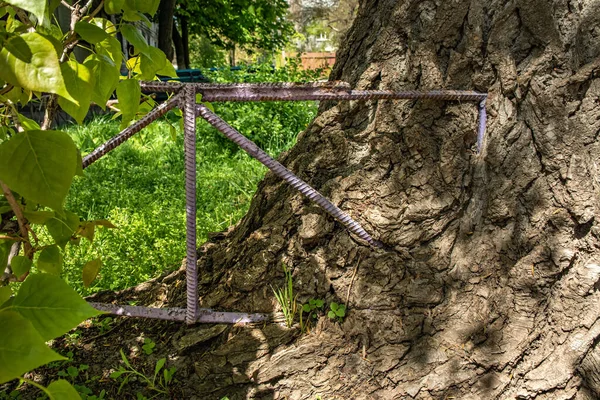 Metallzaun Rinde Und Stamm Eines Baumes Gewachsen — Stockfoto