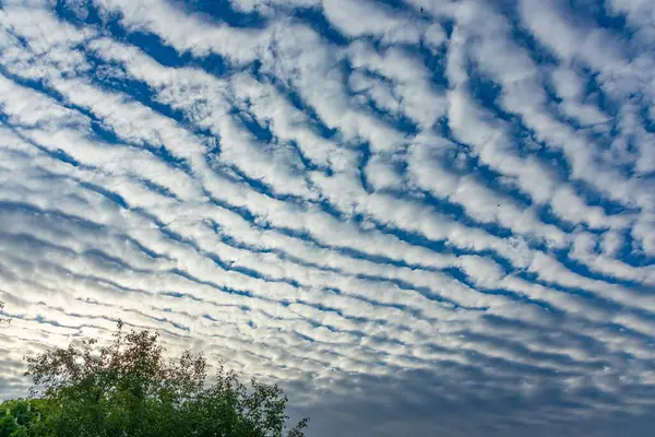 青い空の背景に白い雲の波 アルトコーム Unulatus Cloud — ストック写真