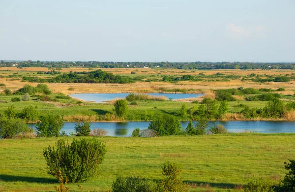 Güneşli bir yaz gününde bir nehir vadisi, bir göl tarlası, sazlıklar ve ağaçların manzarası.