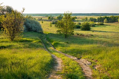 Kirli kırsal bir yol, güneşli bir akşamda ya da yaz gününde kırsal kesimde çayır ve ağaçların olduğu bir nehir vadisine çıkar. Ukrayna 'da doğanın manzarası