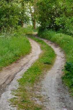 Ağaçlar ve yeşil çimlerle kaplı kırsal bölgede dolambaçlı toprak yol