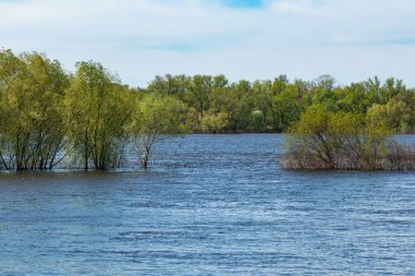 Dinyeper Nehri 'ndeki su seviyesinin yükselmesi, ağaçlar ve bankalar sular altında kaldı.