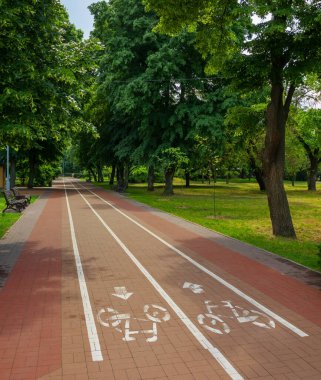 Bisiklet yolları, üzerinde beyaz boya lekeleri olan bir park veya yaz günü ağaçlı bir şehir bahçesi.