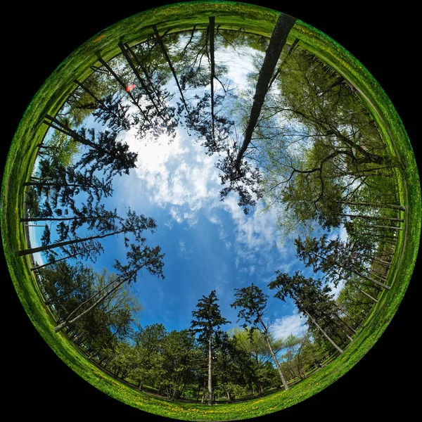 stock image Trees in the city garden - panorama created by a circular wide-angle fisheye lens. Spherical 180 degree Fulldome format