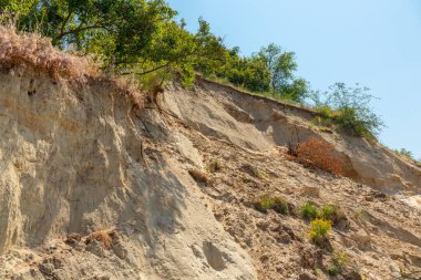 Ağaçlar ve çalılarla dolu kumlu toprağın toprak kayması ve çökmesi. Ekoloji problemi - kıyı şeridi tahribatı