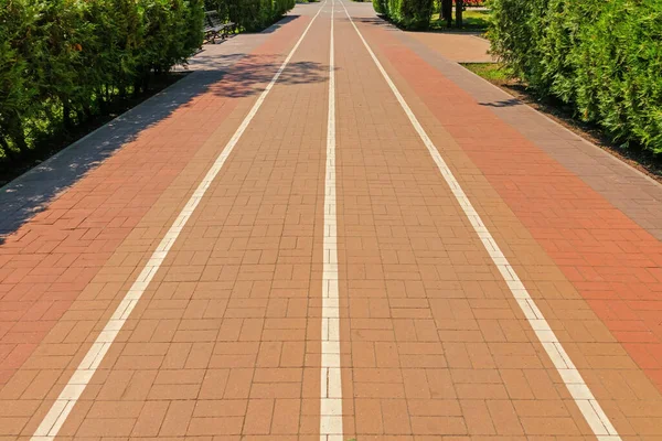 公園の路地に白いペンキのマーキングは 自転車道を示しています — ストック写真