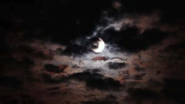 Lua Cheia Uma Noite Escura Nublada Com Nuvens Voando Frente — Vídeo de Stock
