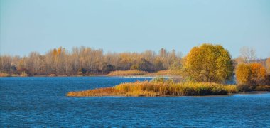 Dinyeper nehri (Dnipro) bir adası ve güneşli bir sonbahar gününde kıyılarda ağaçlarıyla