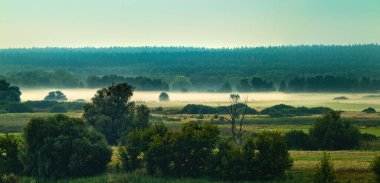 Bir yaz sabahı çayırın ve kozalaklı ormanın üzerinde yaprak döken ağaçlar ve sisli bir vadinin manzarası.