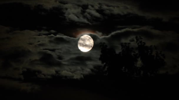 Lua Nas Nuvens Misterioso Estilo Halloween Nuvens Escuras Voam Dramático — Vídeo de Stock