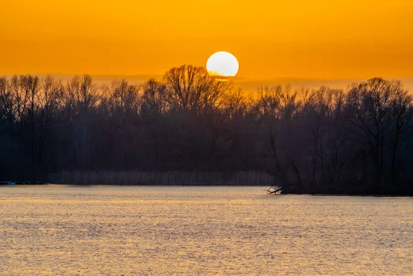 森や川や湖の上のオレンジサンセット — ストック写真