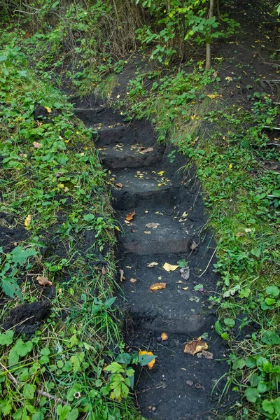 Merdivenler Yoldaki Bahçedeki Kara Toprağa Doğru Kazılıyor Yeşil Otlarla Yakın — Stok fotoğraf