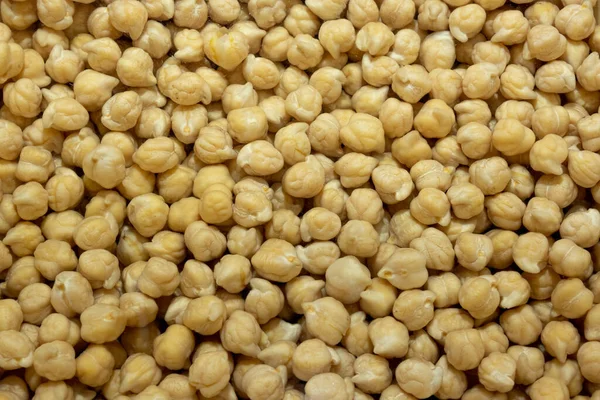 Suda beyaz nohut taneleri. Çiğ bezelyelere de civciv bezelyesi denir (Cicer arietinum)