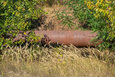 Güneşli bir sonbahar gününde, ağaçların altındaki çimenlerde büyük paslı bir pipo.