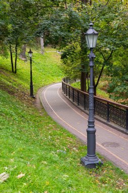 Parktaki bir yaya geçidi manzarası. Korkuluklar, ağaçlar ve sokak lambaları var.