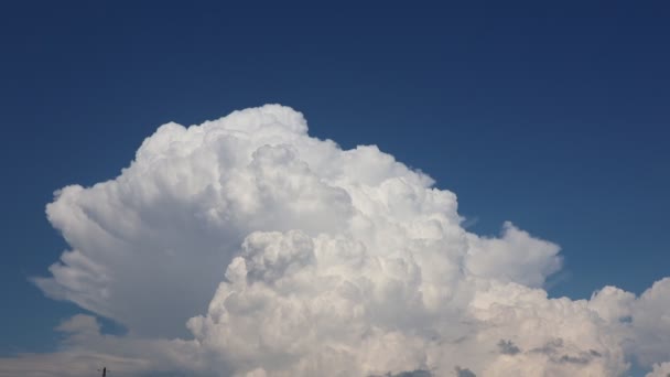 Tidsförloppet För Vita Fluffiga Cumulusmoln Mot Blå Himmel Video Naturliga — Stockvideo