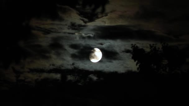 Noc Halloween Upiorny Księżyc Ciemną Pochmurną Noc Chmurami Latającymi Przed — Wideo stockowe