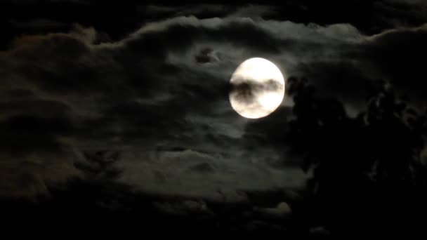 スリラーやホラー映画のように月の前で自然の雲が飛んでいる暗い曇りの夜 空のリアルシューティングブラック雲 — ストック動画