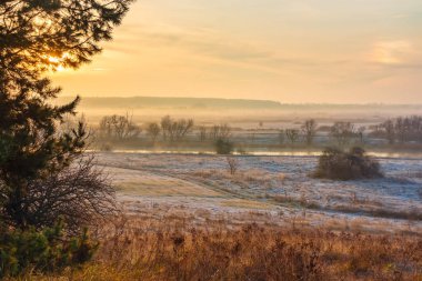 Sonbaharın sonlarında ya da kışın başında bozkırların doğası. Çalı ve ağaçlarla kaplı nehir vadisini görmek, çimlerin üzerinde don. Kırsal kesimde sabah manzarası